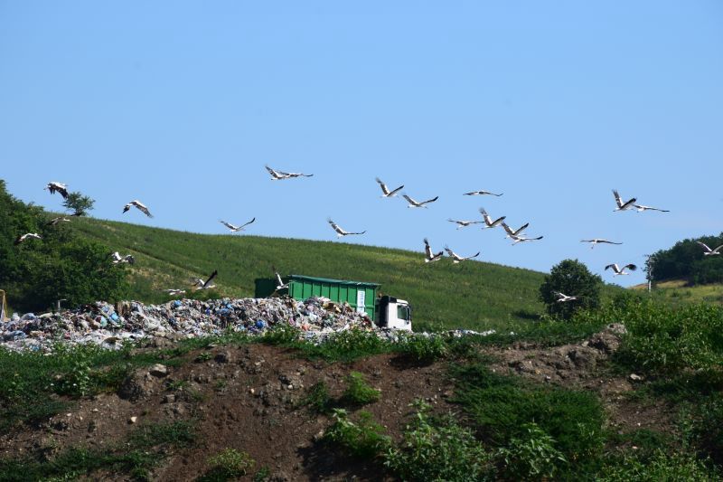 Megvédik a gólyákat az Aggteleki Nemzeti Parkban