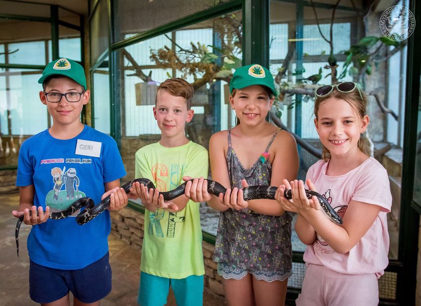 Jutalmat ad a gyerekeknek a debreceni állatkert