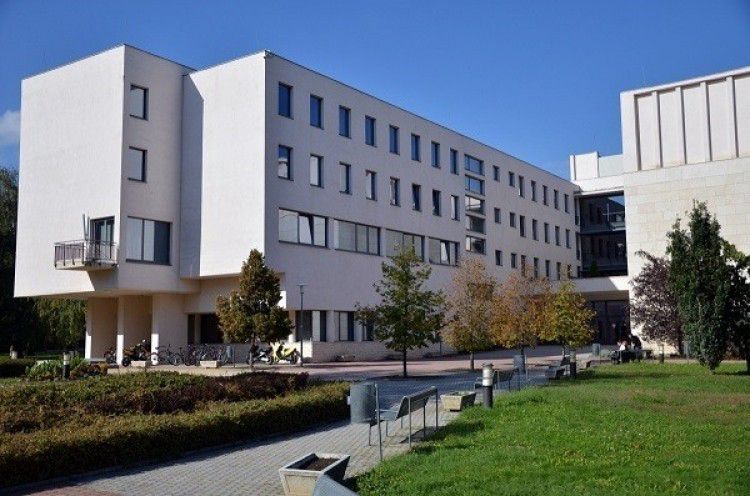 Nyíregyházi Egyetem: kiírták a rektori pályázatot