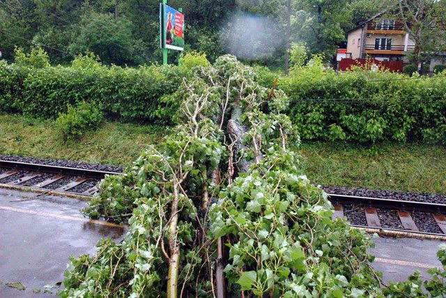 Fa dőlt Bocskaikertnél az InterCity mozdonyára