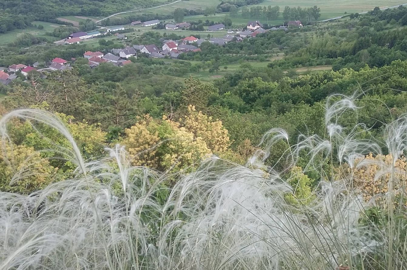 Pusztafalu és Szögliget a digitális térbe lép