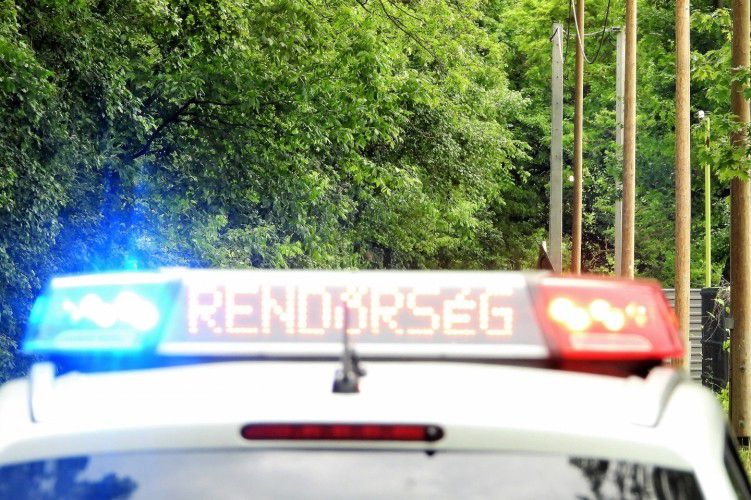 Nyolc migráns és egy embercsempész egy kocsiban