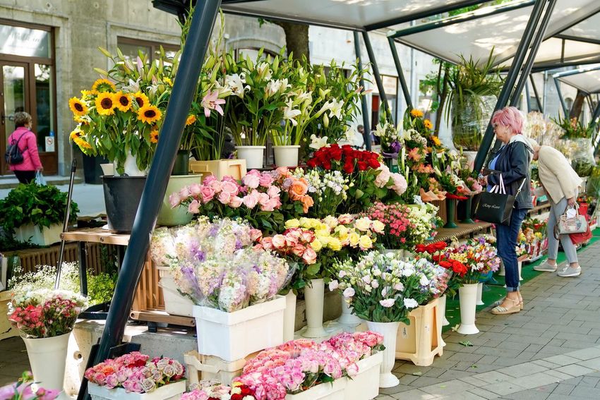 Csapó utcai virágpiac: ha pénz van, minden van