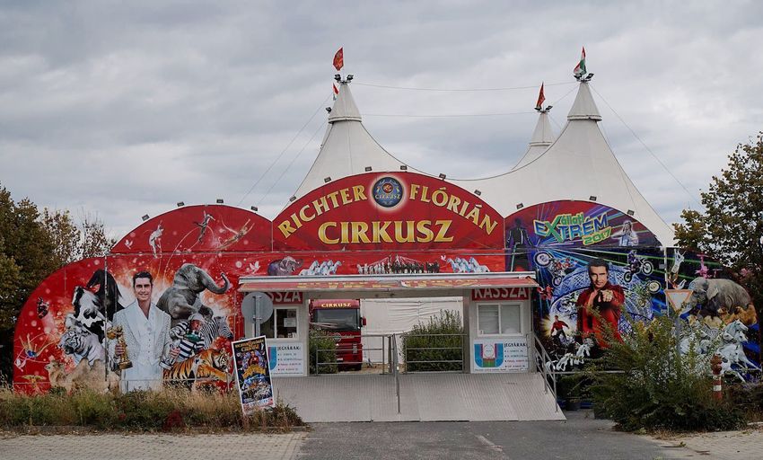Cirkusz Debrecenben: vásároljon jegyet olcsóbban!