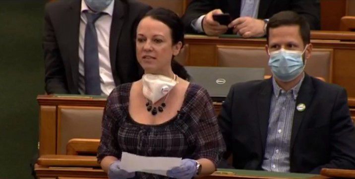 Kósa Lajos megdöbbent  a parlamentben