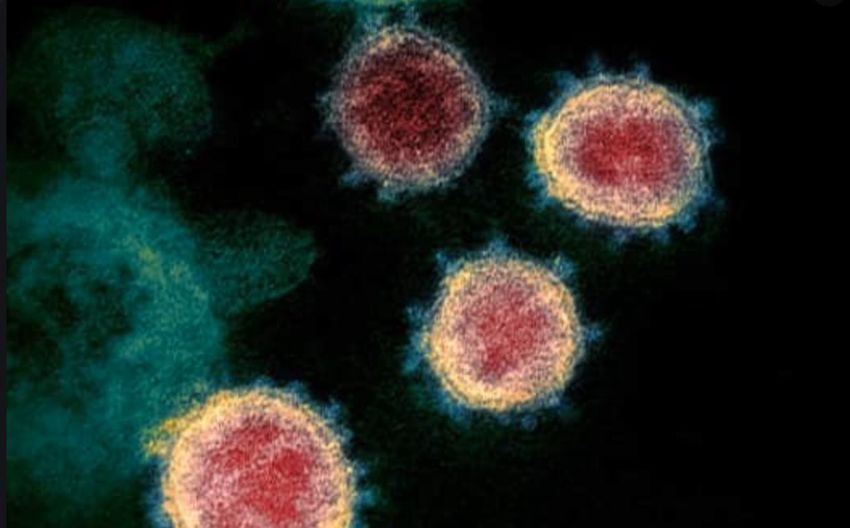Vírus: egy nap alatt ezerrel csökkent az új fertőzöttek száma