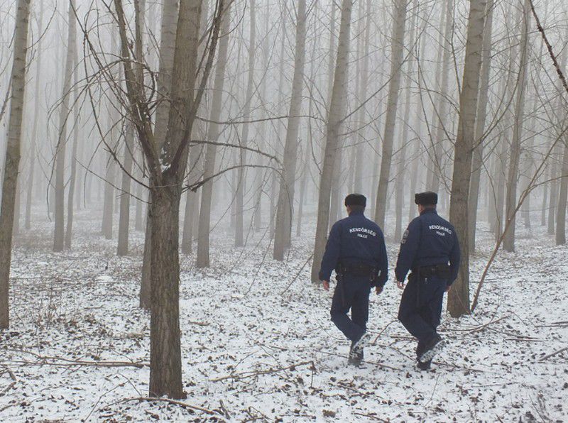 Rendőröket küldtek a Hadház és Téglás melletti erdőkbe