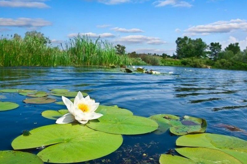 Nagyszabású fesztivál kezdődik a Tisza-tónál