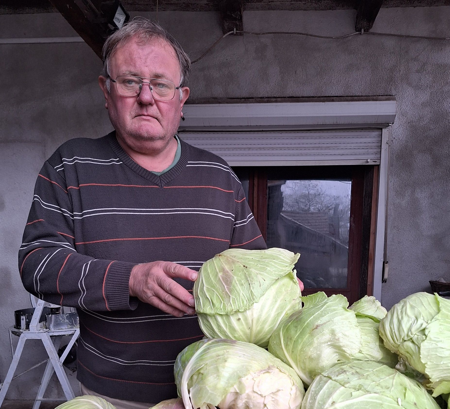 Szárnyal a lapos: a hadháziak nem engedik el a káposzta „kezét”