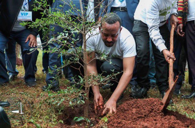 Összefogott az ország: 200 millió fát ültettek egy nap alatt