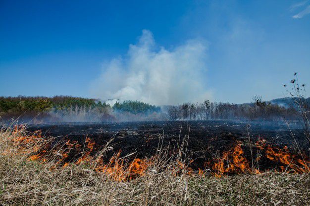 Huszonnyolc hektáron égett a tűz Petneházánál