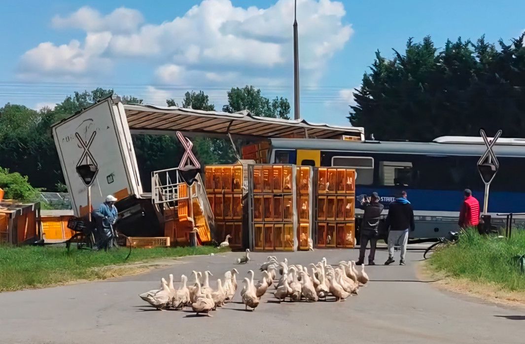 Karambolozott a Debrecenből indult vonat Karambolozott a Debrecenből indult vonat