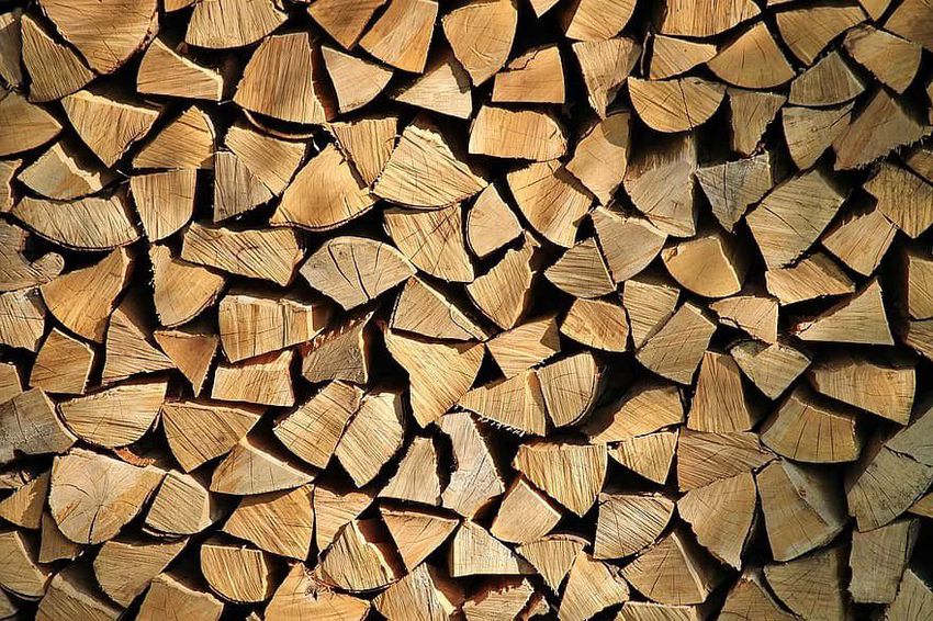 Nagy István: a fakitermelés nem jár erdőirtással 