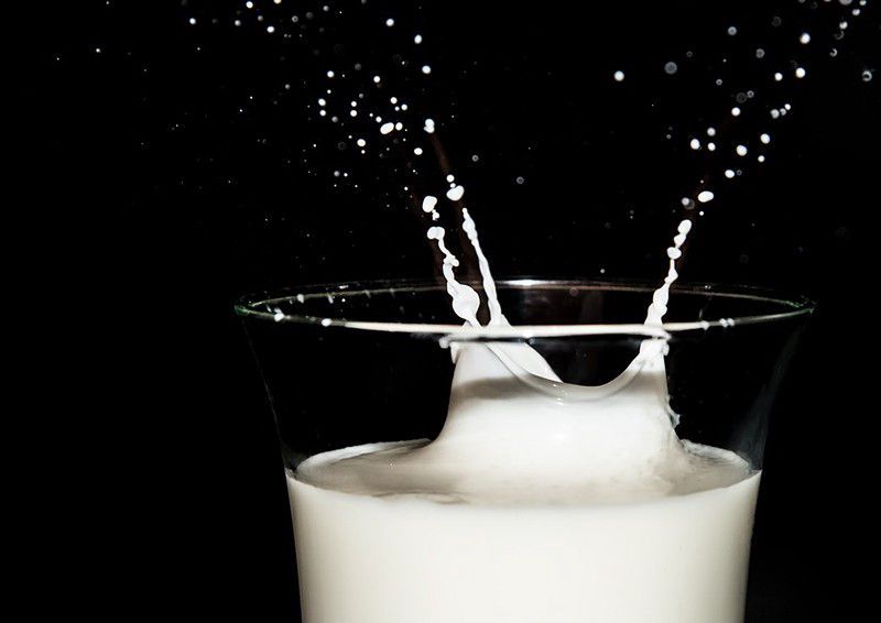 Szándékosan szennyezték a tejet?