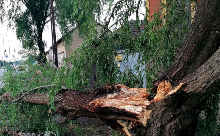 Orkán: 121 kilométer per órával fújt a szél Tiszavasváriban
