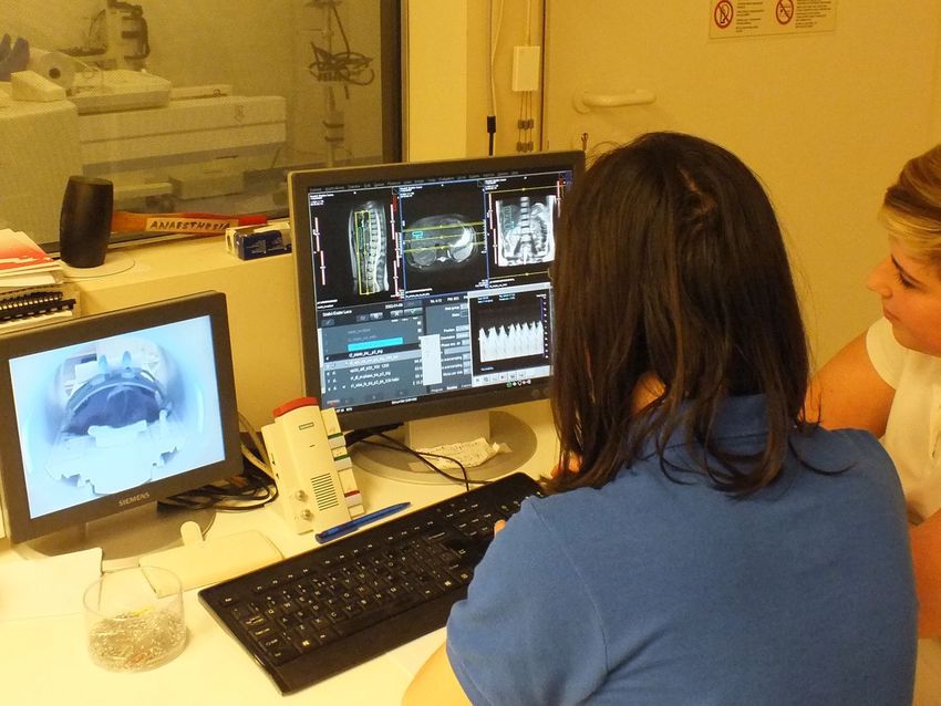 Együtt nézik a miskolci és szlovákiai orvosok a CT-leleteket