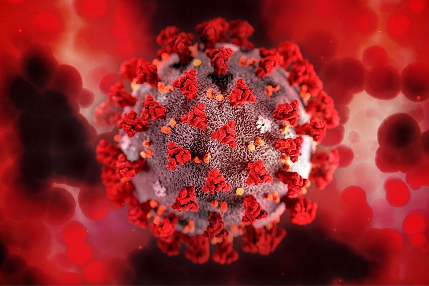 Koronavírus: 323 új fertőzött és 6 elhunyt