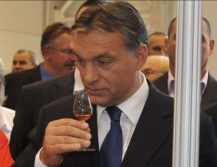 Orbán csak munkaidő után iszik