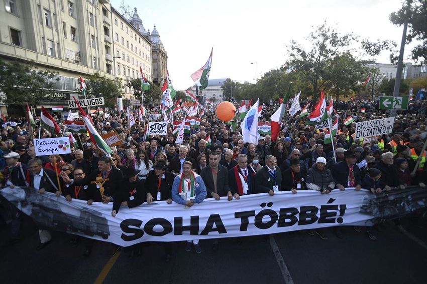 Orbán Viktor: Mi vagyunk a bot a küllők között