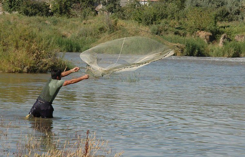 45 nap elzárást kapott a tiszai orvhalász
