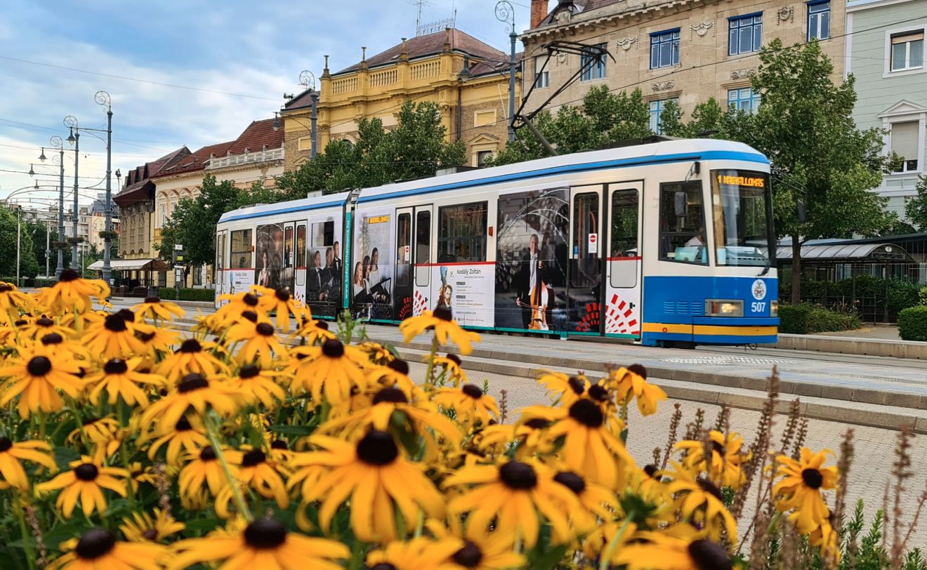 yoUDay: sűrűbben közlekedik az 1-es villamos és két buszjárat  