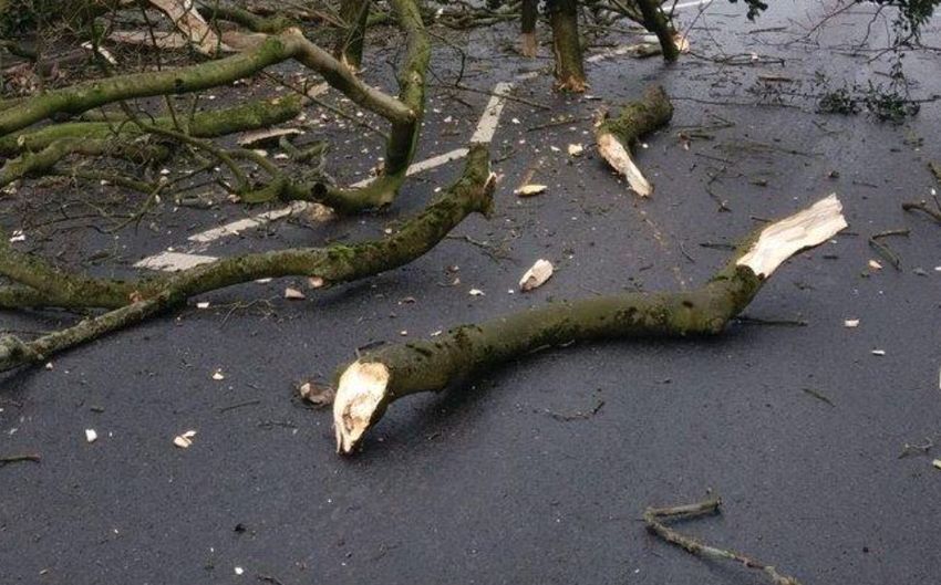 Több helyen károkat okozott a nagy szél Szabolcsban