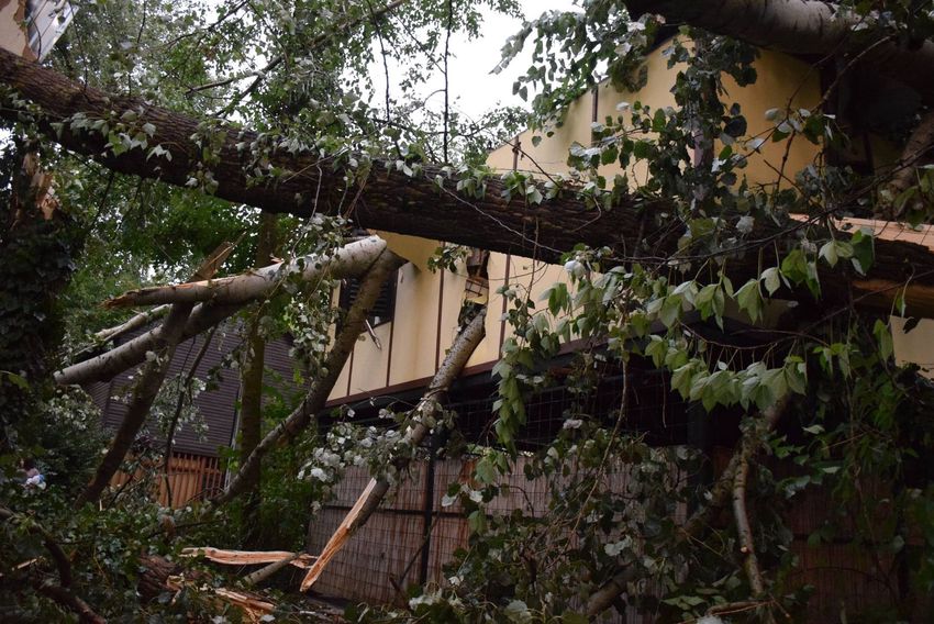 Hatalmas károkat okozott a vihar Gergelyiugornyán +Fotók