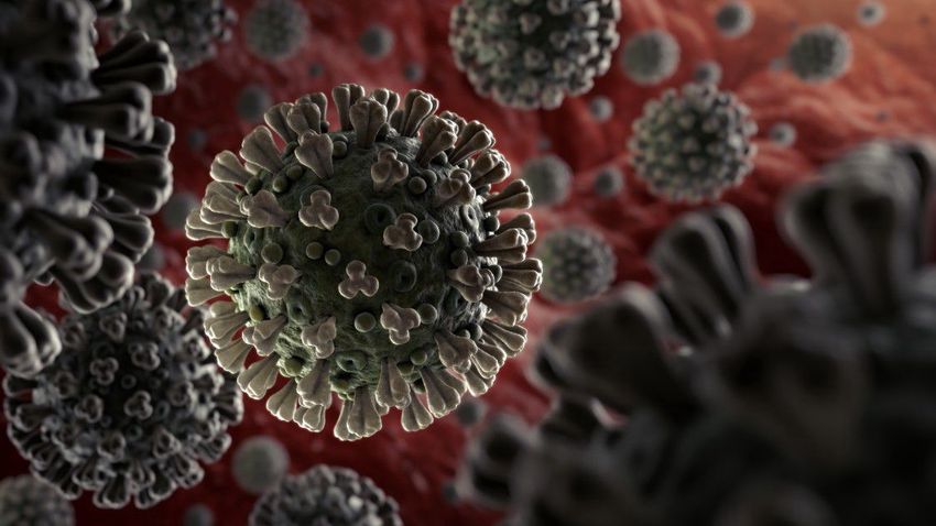 Koronavírus: 118 halott egy nap alatt