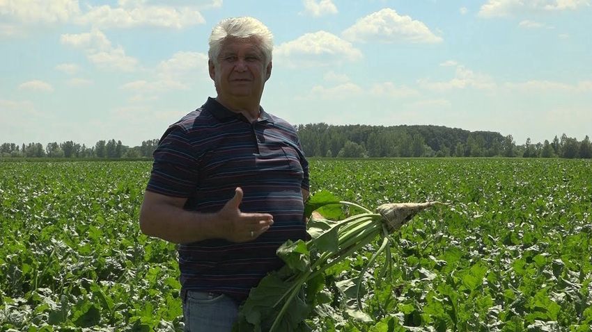 Rangos díjat nyert a tiszavasvári gazdálkodó