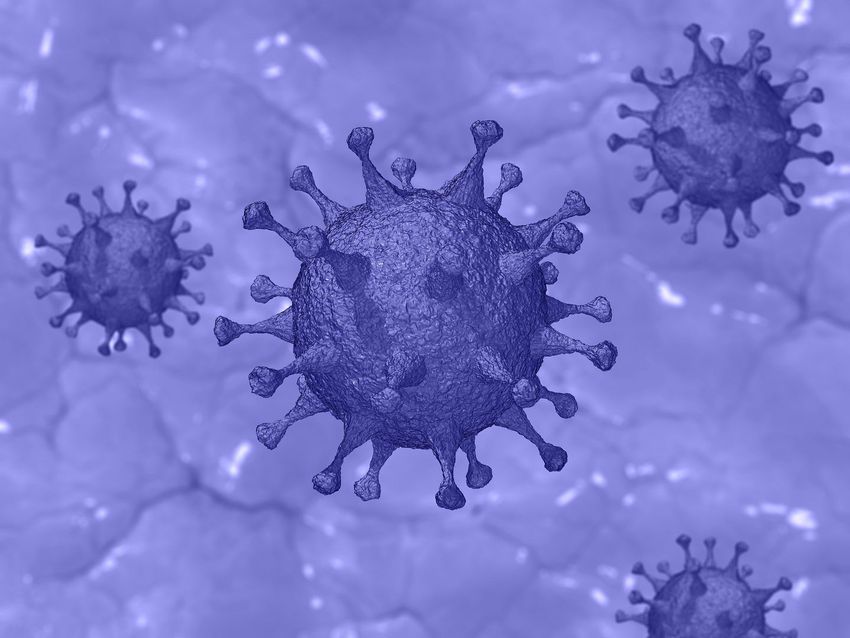 Koronavírus: az elmúlt héten 35-en hunytak el