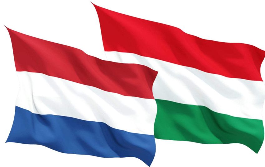 Hazacsábítják Hollandiából a magyarokat