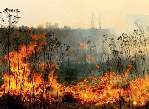 Szabolcs megyében sok gondot okozott a szabadtéri tűz