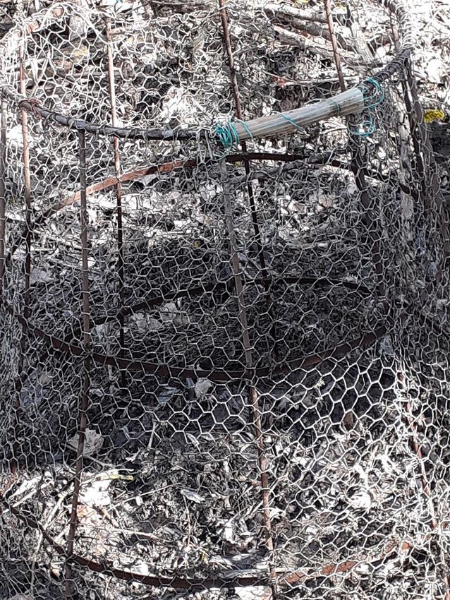 Halakat kínzott az orvhalász Tiszadobon