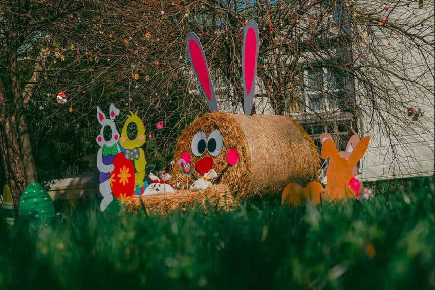 Encsen a közösség díszíti a húsvéti tojásfát
