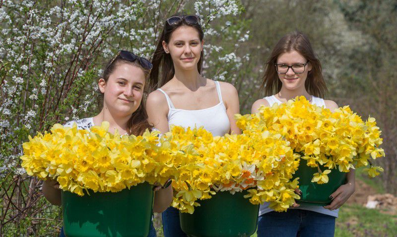 Debreceni diákok szedték a remény virágát