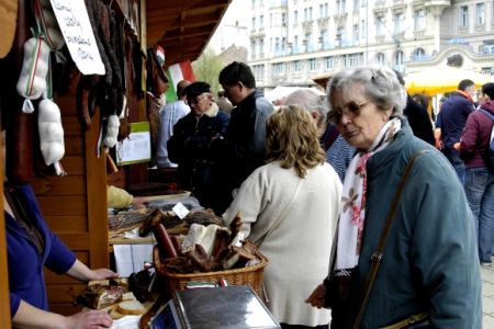 Legyen hungarikum a mangalica!