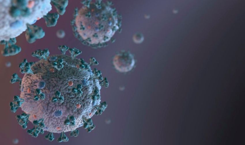 Vírus: 9 új fertőzött és egyetlen halott