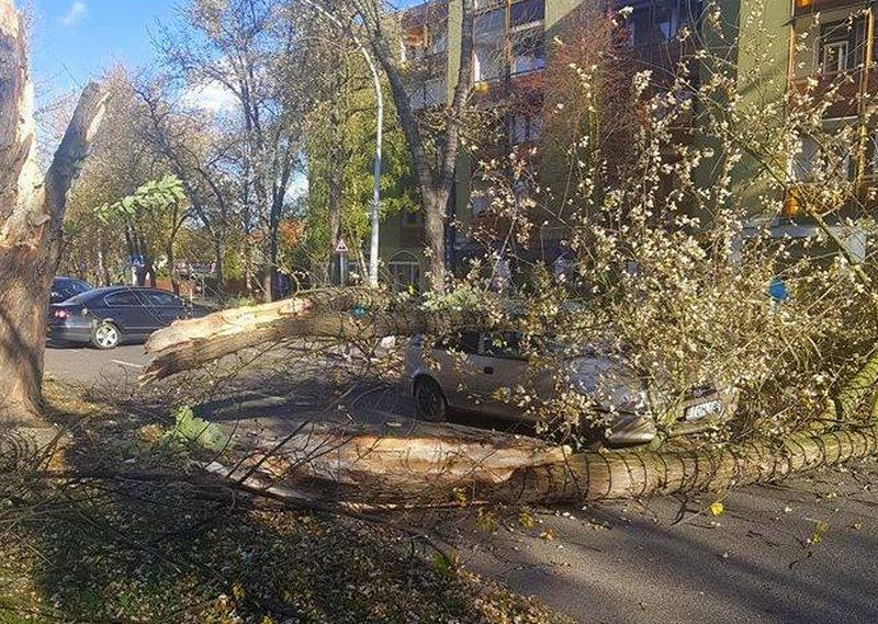 Autókat aprított a szél Miskolcon és Kazincbarcikán