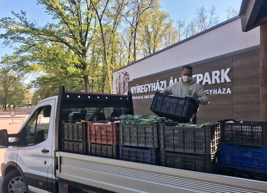 Mázsaszám hordják a teherautók a Nyíregyházi Állatparkba a segítséget