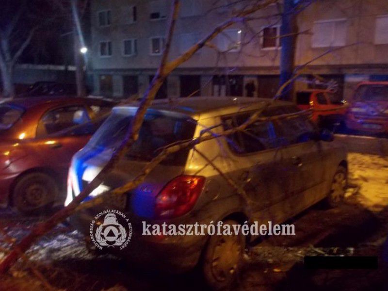 Aprítja a szél Debrecent: ültek az autóban, mikor szakadt az ág