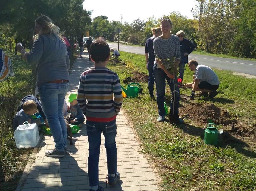 Több ezer fát készülnek elültetni Debrecenben és a megyeszerte