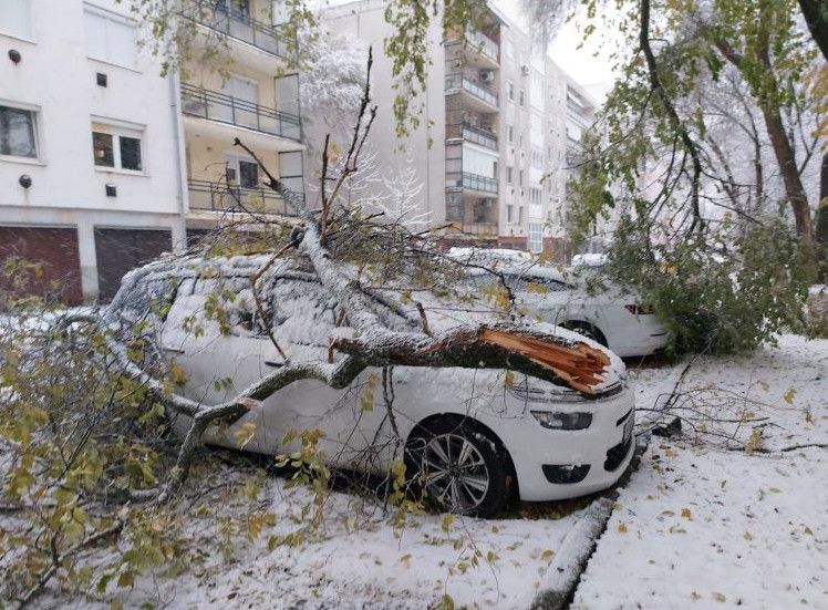 Nyíregyházán a havazás bosszúságot és károkat okozott