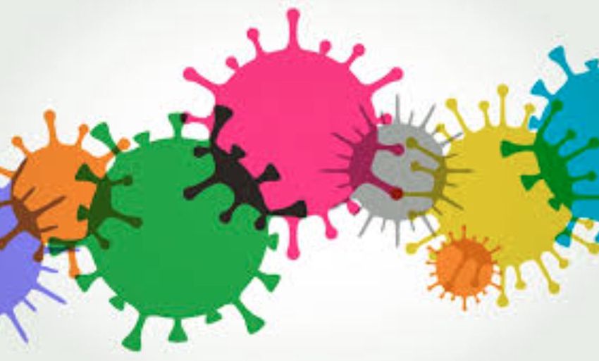 Járvány: 246 új fertőzöttet igazoltak