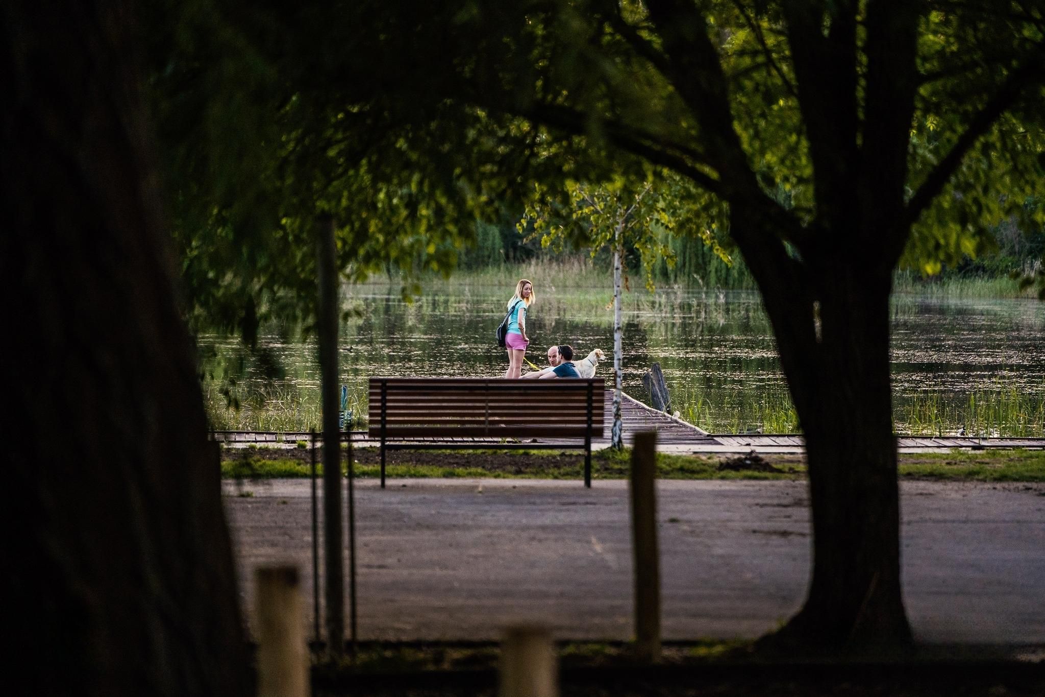 Új sétány, rendezett környezet várja a Vekeri-tóra látogatókat