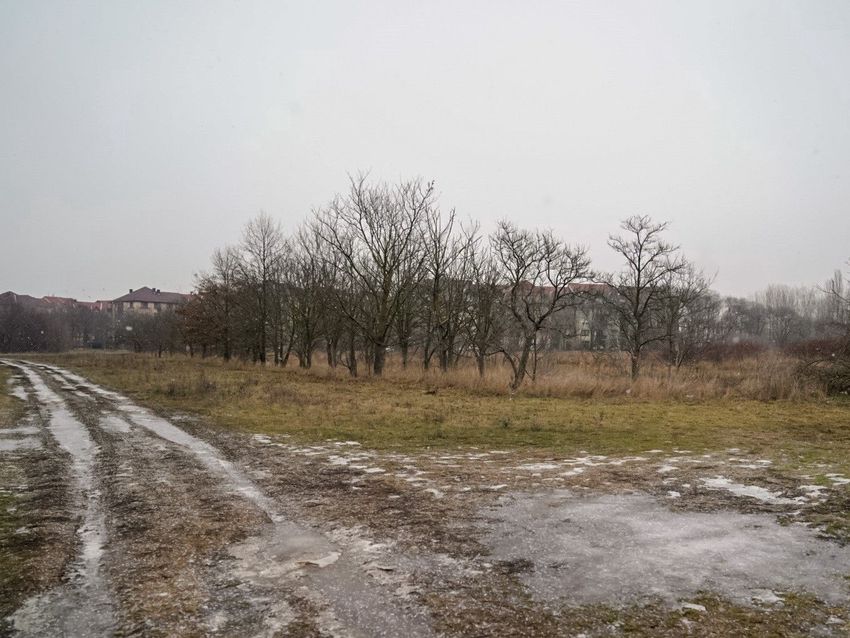 A Momentum hajthatatlan, Debrecen déli részén építtetne lakásokat