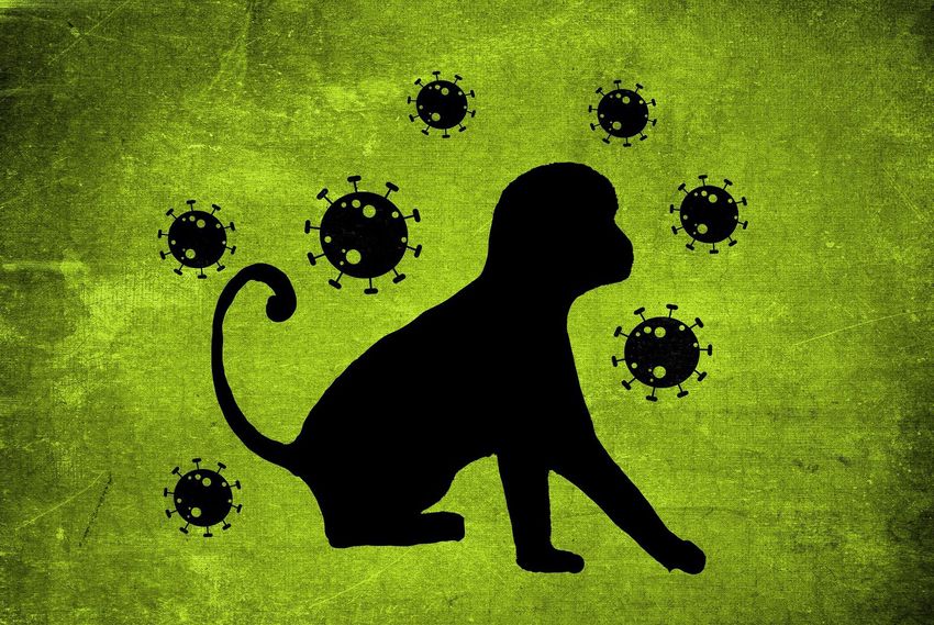 Már 42 majomhimlőst igazoltak hazánkban