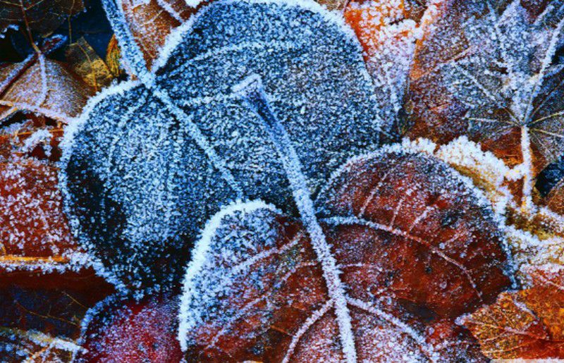 Rapid ősz: talajmenti fagyok jönnek Szabolcsban