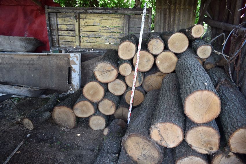 Húsz köbméter fát loptak a sajókazai tolvajok