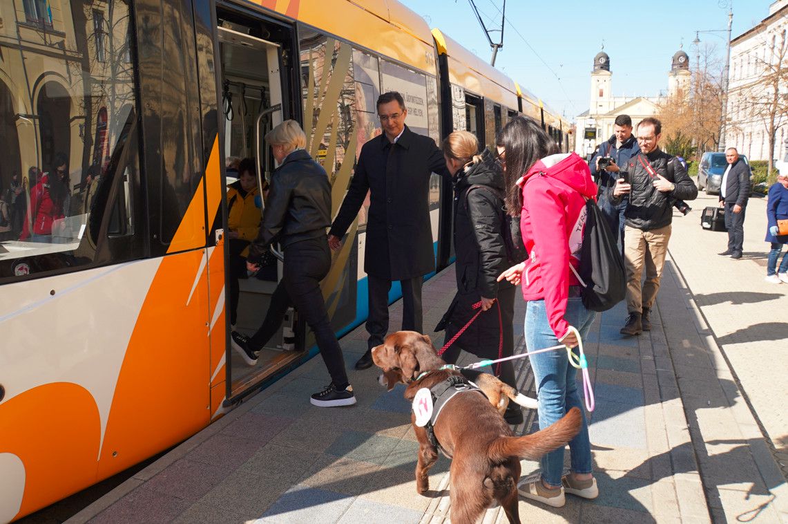 Kutyabaráttá vált a debreceni közösségi közlekedés