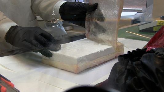 A rendőrök 155 kiló kokaint találtak Csepelen
